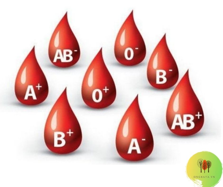 top 20 bộ test nhóm máu và phương pháp kiểm tra xét nghiệm nhóm máu tại nhà