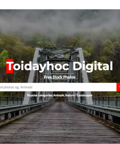 Digital.toidayhoc.com trang web cung cấp hình ảnh vector cho designer