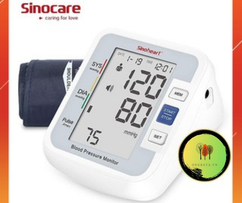 Máy đo huyết áp điện tử bắp tay Sinoheart BA-801